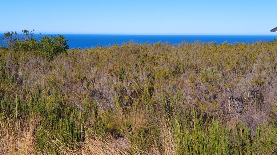 3 Bedroom Property for Sale in Dana Bay Western Cape